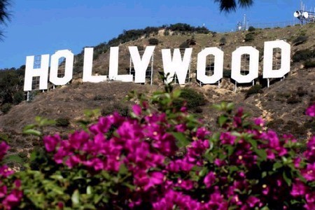  Hollywood on Hollywood Sign Pink Flowers    Meat And Three Cafe